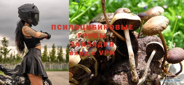 бошки Медвежьегорск